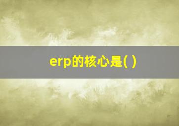 erp的核心是( )